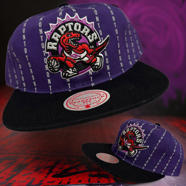 *Toronto Raptors* ~Deadstock fit~ (Soft shell) snapback hat by Mitchell & Ness
