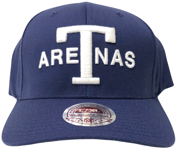 *Texas Arenas* curved beak flex fit hat by Mitchell & Ness