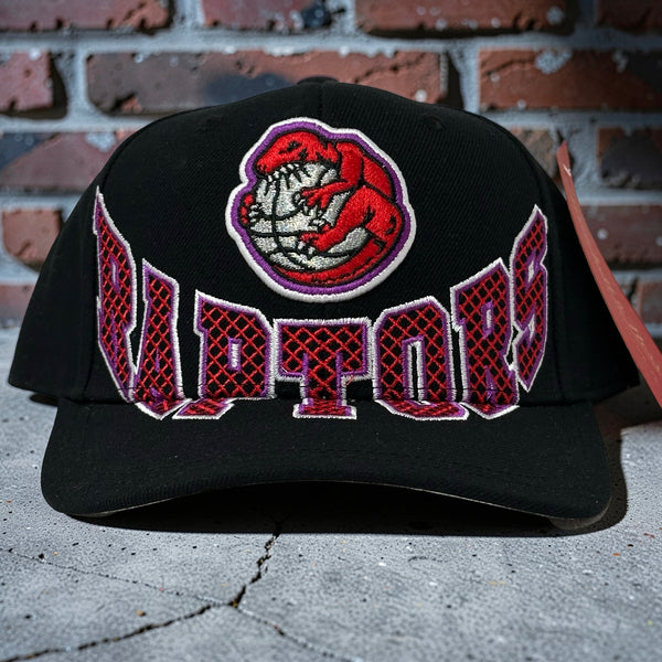 *TORONTO RAPTORS* Snapback Hats by Michell and Ness (Pro Crown Fit)
