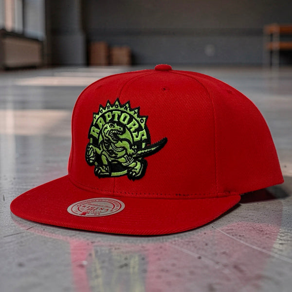 *TORONTO RAPTORS* Fitted hat by Mitchell & Ness (Original Fit)
