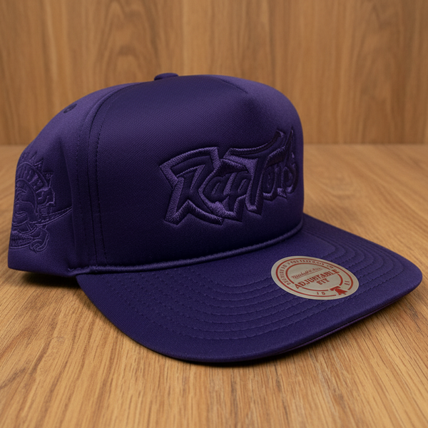 *TORONTO RAPTORS * Foamed Up Pro Snapback Hats by Mitchell & Ness
