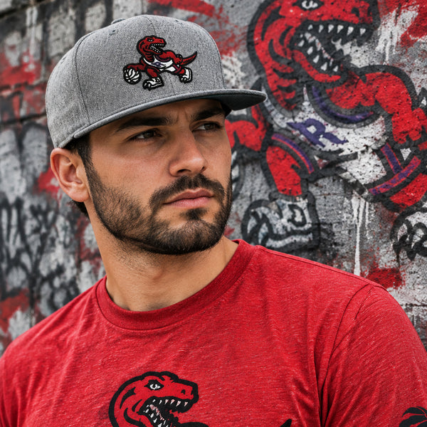 *TORONTO RAPTORS* Snapback hat by Mitchell & Ness (Adjustable Fit)