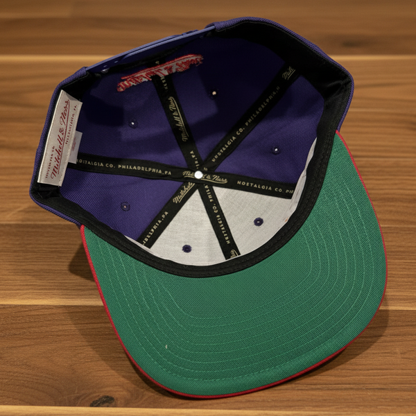 *TORONTO RAPTORS* Original Fit Snapback Hats by Mitchell & Ness
