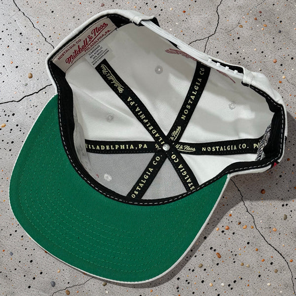 *VANCOUVER GRIZZLIES* Snapback hat by Mitchell & Ness (Original Fit)