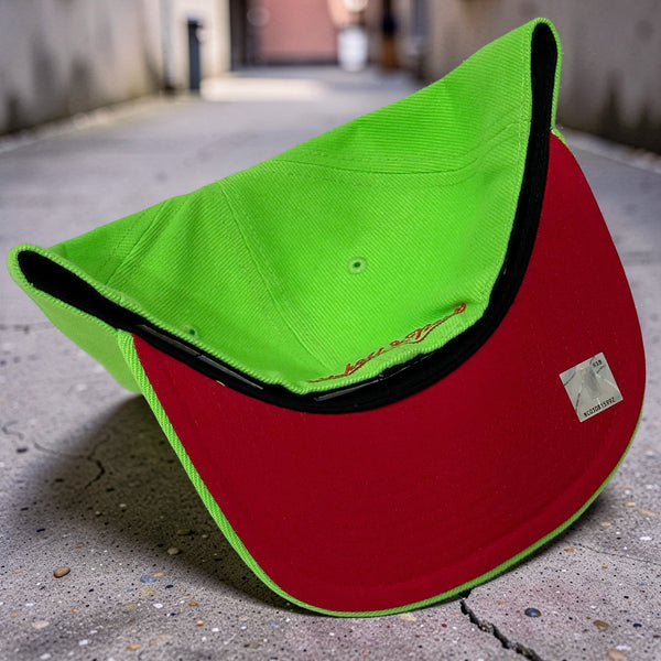 *TORONTO RAPTORS* Fitted hat by Mitchell & Ness (Dynasty Edition) (7-1/4”)