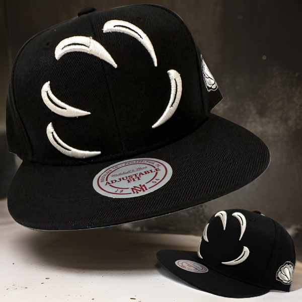 *Vancouver Grizzlies* snapback hats by Mitchell & Ness